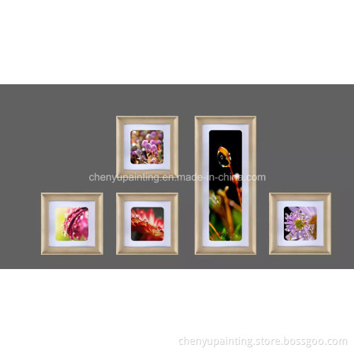 Decorative Flower Photography Print Arts Group Wall Painting (YS-09)